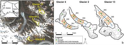 Pursuit of Optimal Design for Winter-Balance Surveys of Valley-Glacier Ablation Areas